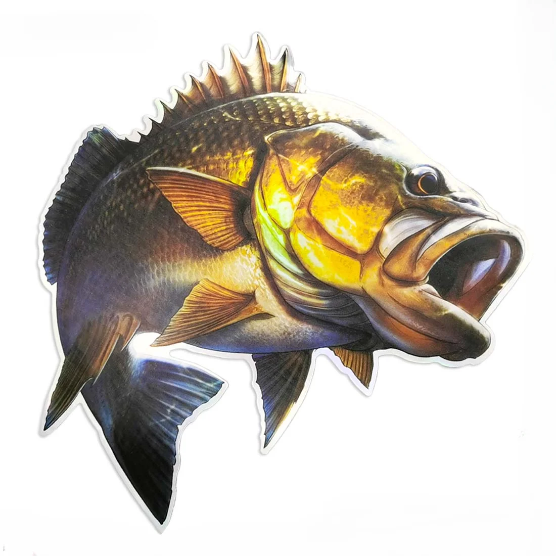 Marine creatures, deep-sea fis - Fishing Bag Waterproof review and price